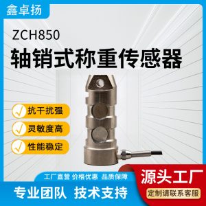 轴销式传感器 称重传感器 ZCH850