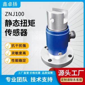 静态扭矩传感器 ZNJ100