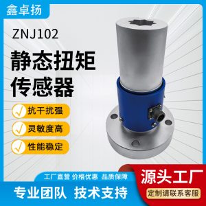 静态扭矩传感器 ZNJ102