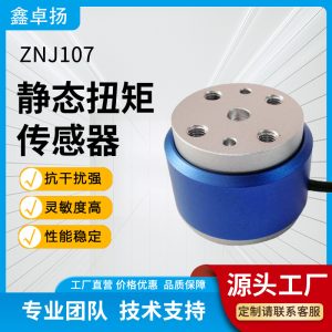 静态扭矩传感器 ZNJ107